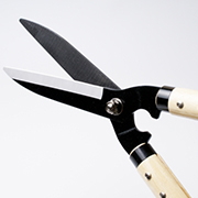 枝切り・枝払い